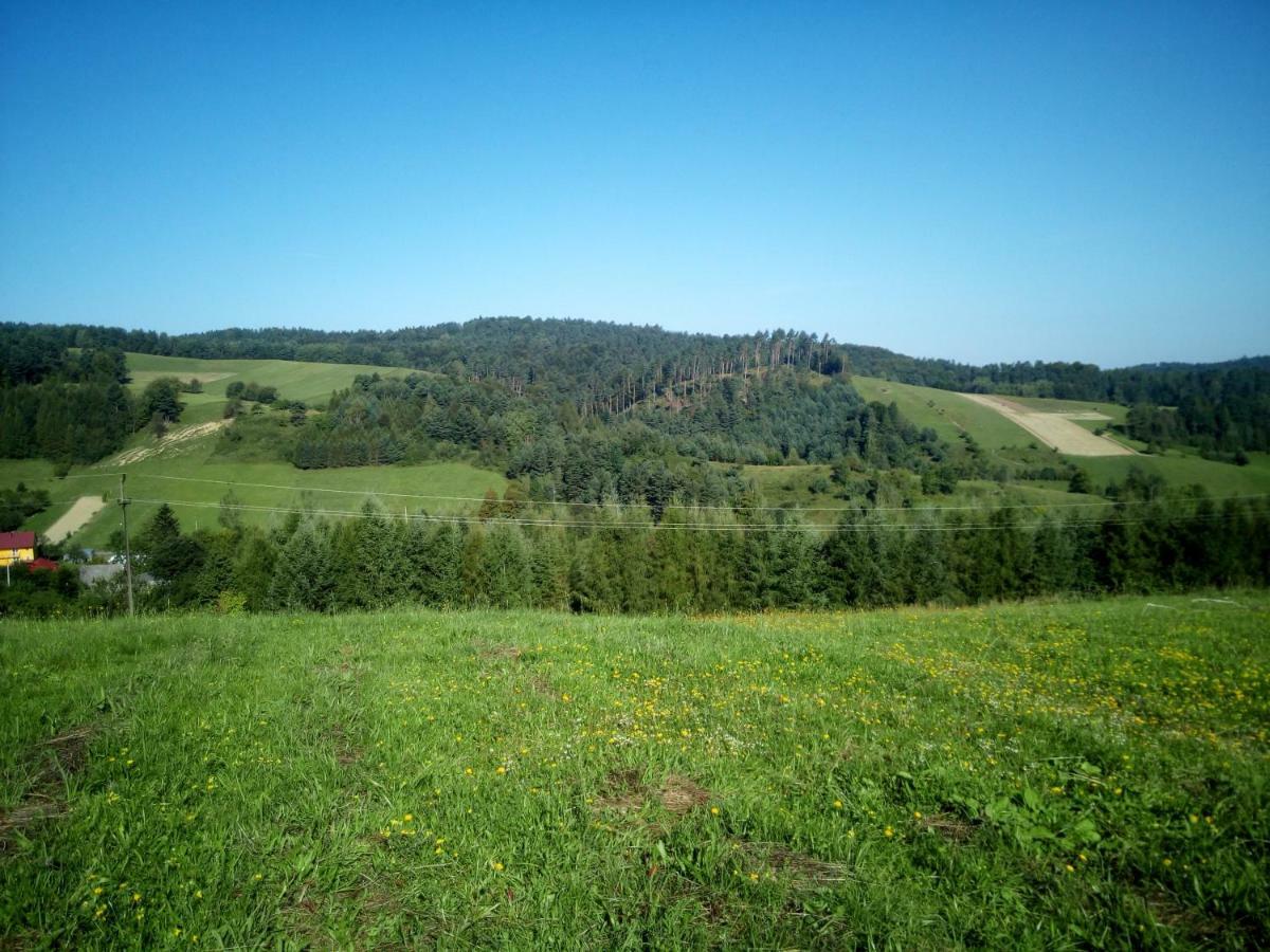 Bjorkowo Villa Polańczyk Eksteriør billede
